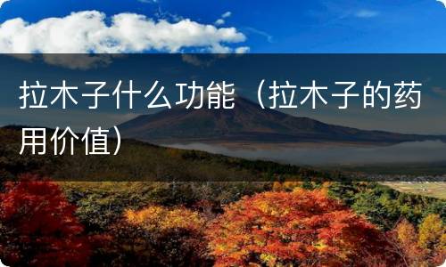 拉木子什么功能（拉木子的药用价值）