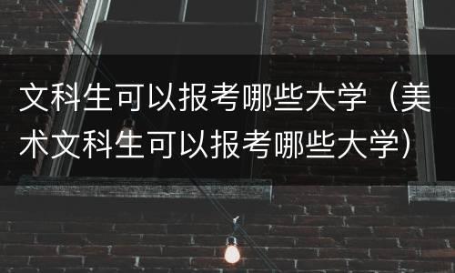 文科生可以报考哪些大学（美术文科生可以报考哪些大学）