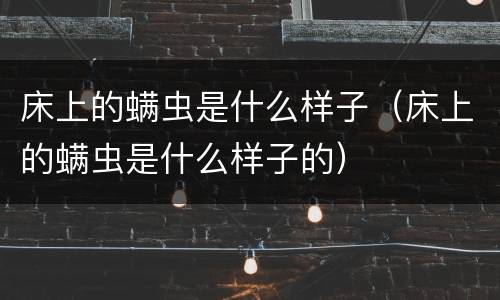 床上的螨虫是什么样子（床上的螨虫是什么样子的）
