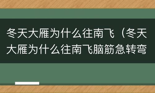 冬天大雁为什么往南飞（冬天大雁为什么往南飞脑筋急转弯）