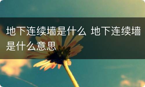 地下连续墙是什么 地下连续墙是什么意思