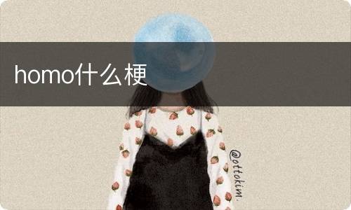 homo什么梗