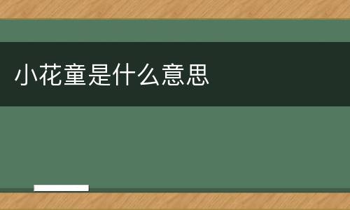 小花童是什么意思