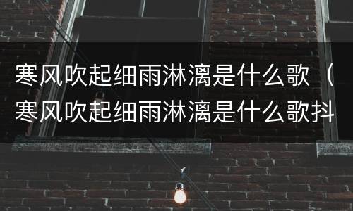寒风吹起细雨淋漓是什么歌（寒风吹起细雨淋漓是什么歌抖音）