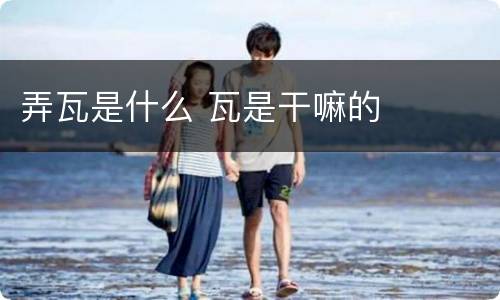 弄瓦是什么 瓦是干嘛的