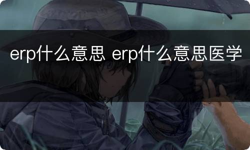 erp什么意思 erp什么意思医学