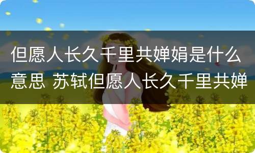 但愿人长久千里共婵娟是什么意思 苏轼但愿人长久千里共婵娟是什么意思