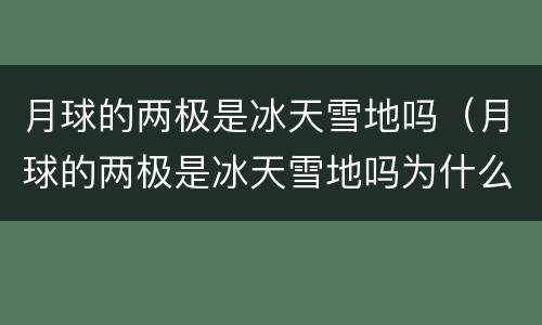 月球的两极是冰天雪地吗（月球的两极是冰天雪地吗为什么）