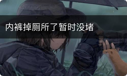 内裤掉厕所了暂时没堵