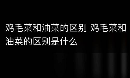 鸡毛菜和油菜的区别 鸡毛菜和油菜的区别是什么