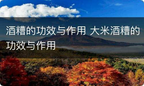 酒糟的功效与作用 大米酒糟的功效与作用