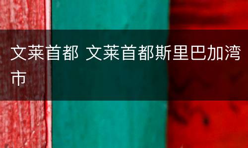 文莱首都 文莱首都斯里巴加湾市