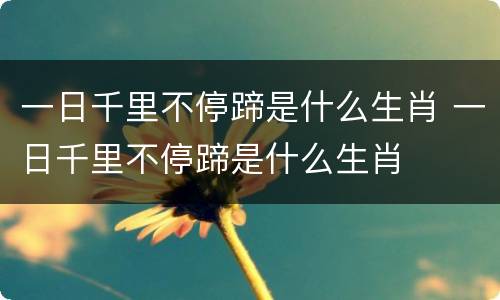一日千里不停蹄是什么生肖 一日千里不停蹄是什么生肖