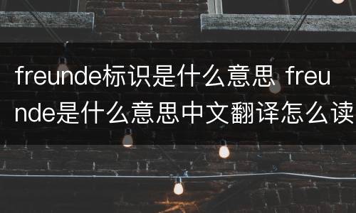 freunde标识是什么意思 freunde是什么意思中文翻译怎么读