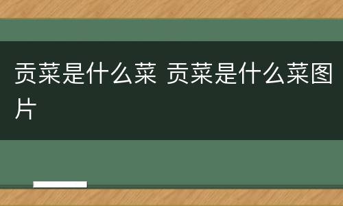 贡菜是什么菜 贡菜是什么菜图片