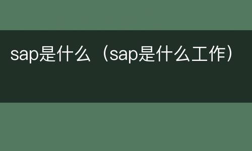 sap是什么（sap是什么工作）