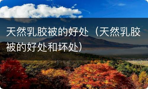天然乳胶被的好处（天然乳胶被的好处和坏处）