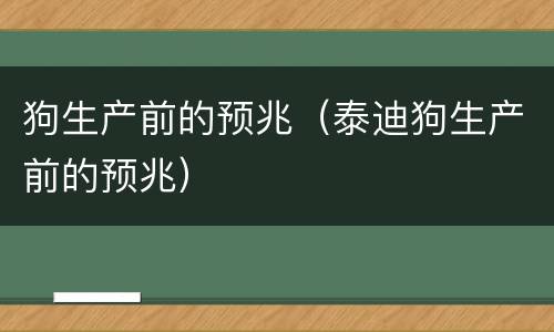 狗生产前的预兆（泰迪狗生产前的预兆）