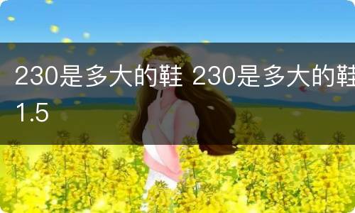 230是多大的鞋 230是多大的鞋1.5
