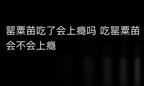 罂粟苗吃了会上瘾吗 吃罂粟苗会不会上瘾