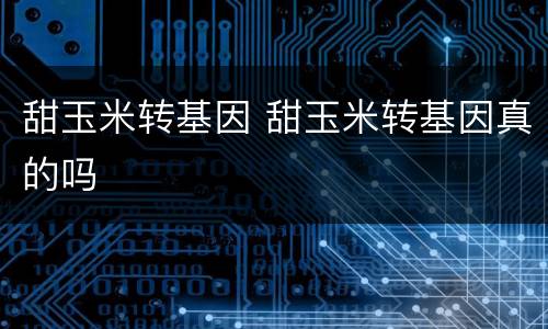 甜玉米转基因 甜玉米转基因真的吗