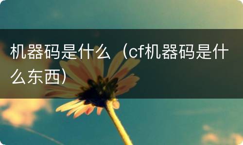 机器码是什么（cf机器码是什么东西）