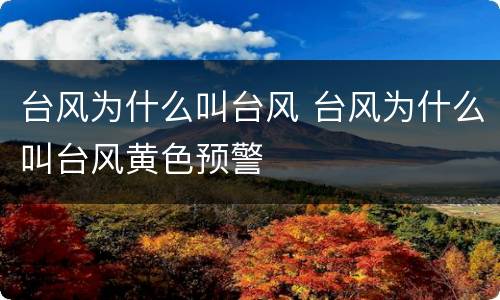 台风为什么叫台风 台风为什么叫台风黄色预警