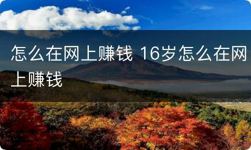 怎么在网上赚钱 16岁怎么在网上赚钱