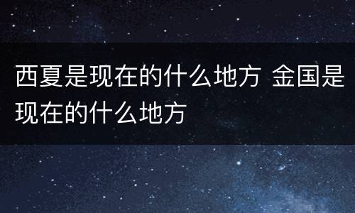 西夏是现在的什么地方 金国是现在的什么地方