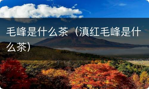 毛峰是什么茶（滇红毛峰是什么茶）