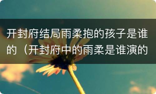 开封府结局雨柔抱的孩子是谁的（开封府中的雨柔是谁演的）