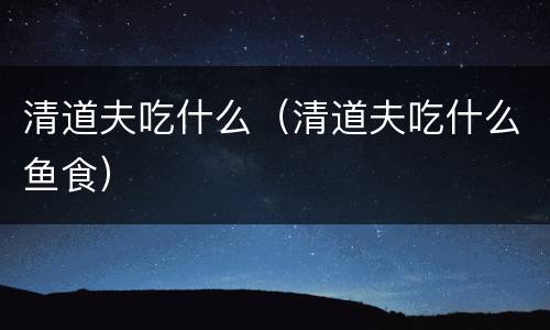 清道夫吃什么（清道夫吃什么鱼食）