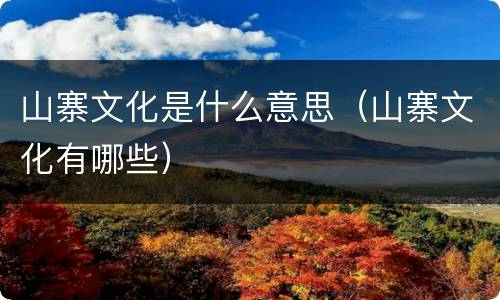 山寨文化是什么意思（山寨文化有哪些）