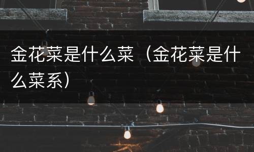 金花菜是什么菜（金花菜是什么菜系）