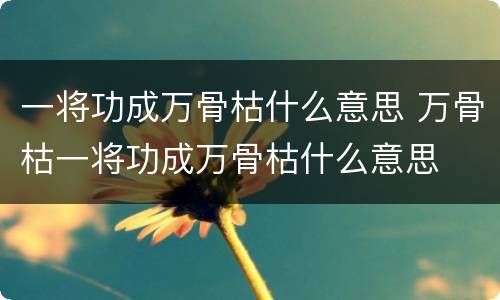 一将功成万骨枯什么意思 万骨枯一将功成万骨枯什么意思