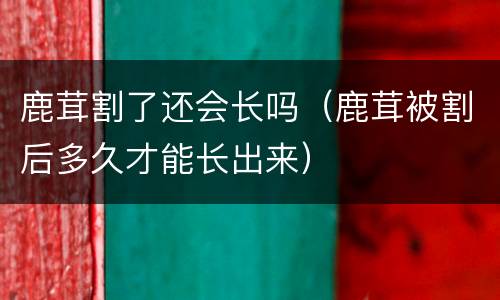 鹿茸割了还会长吗（鹿茸被割后多久才能长出来）