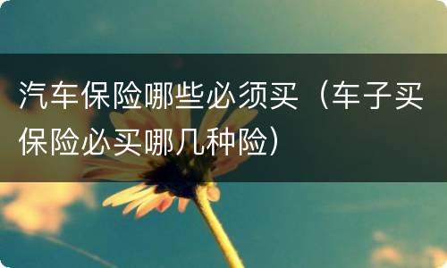 汽车保险哪些必须买（车子买保险必买哪几种险）