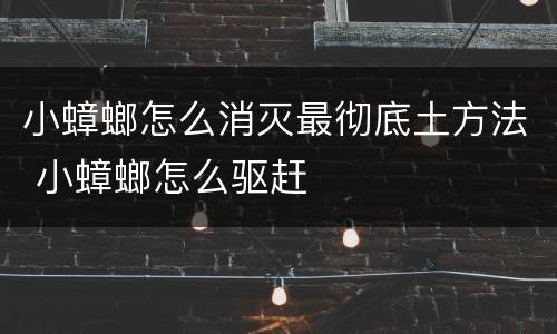 小蟑螂怎么消灭最彻底土方法 小蟑螂怎么驱赶