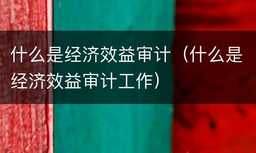 什么是经济效益审计（什么是经济效益审计工作）