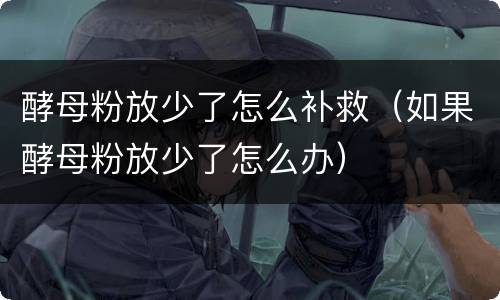 酵母粉放少了怎么补救（如果酵母粉放少了怎么办）