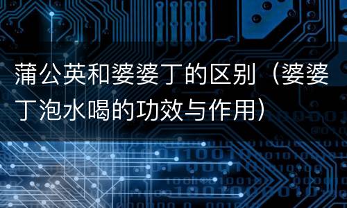 蒲公英和婆婆丁的区别（婆婆丁泡水喝的功效与作用）