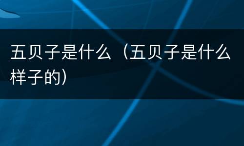 五贝子是什么（五贝子是什么样子的）