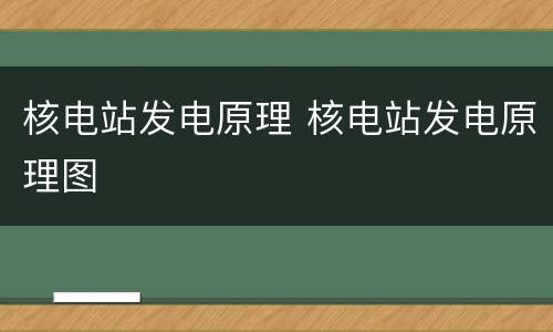 核电站发电原理 核电站发电原理图