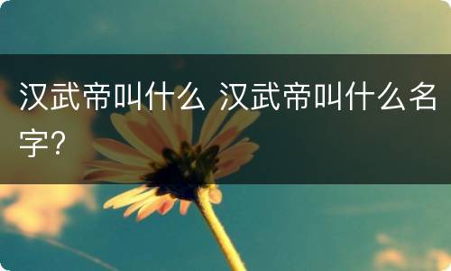 汉武帝叫什么 汉武帝叫什么名字?