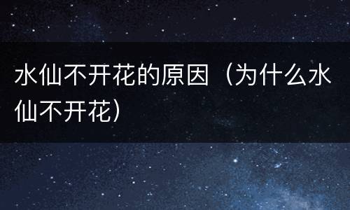 水仙不开花的原因（为什么水仙不开花）