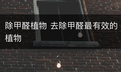 除甲醛植物 去除甲醛最有效的植物