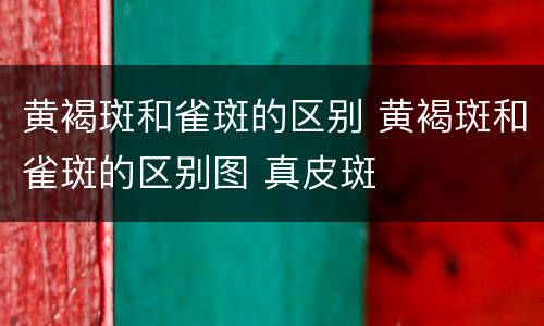 黄褐斑和雀斑的区别 黄褐斑和雀斑的区别图 真皮斑