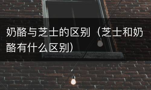奶酪与芝士的区别（芝士和奶酪有什么区别）