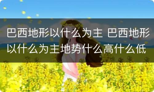 巴西地形以什么为主 巴西地形以什么为主地势什么高什么低