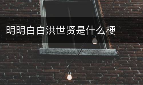 明明白白洪世贤是什么梗